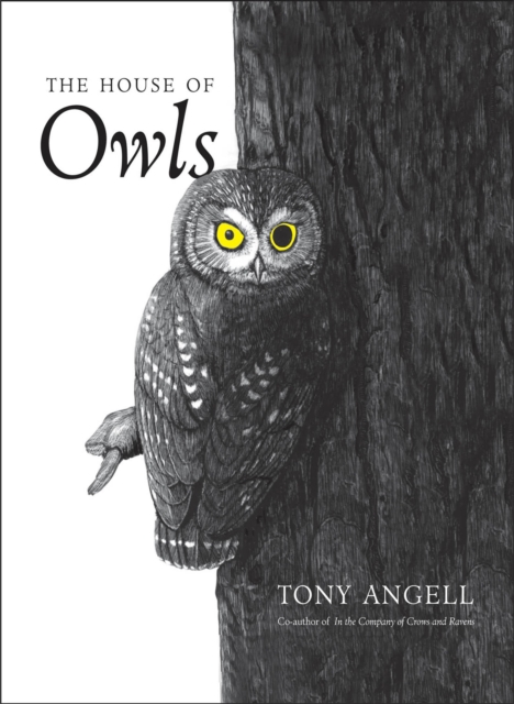 The House of Owls, EPUB eBook