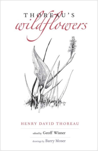 Thoreau's Wildflowers, Hardback Book