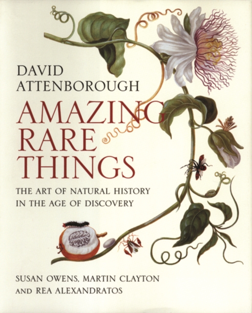 Amazing Rare Things : The Art of Natural History in the Age of Discovery, Paperback / softback Book