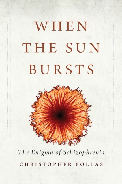 When the Sun Bursts : The Enigma of Schizophrenia, PDF eBook