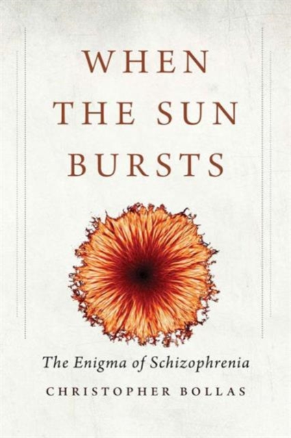When the Sun Bursts : The Enigma of Schizophrenia, Paperback / softback Book