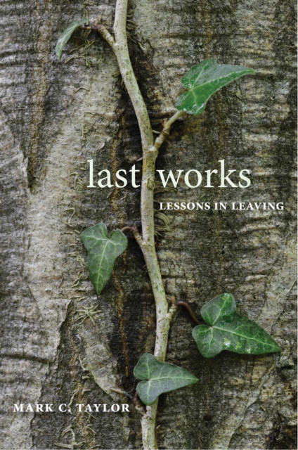 Last Works : Lessons in Leaving, EPUB eBook