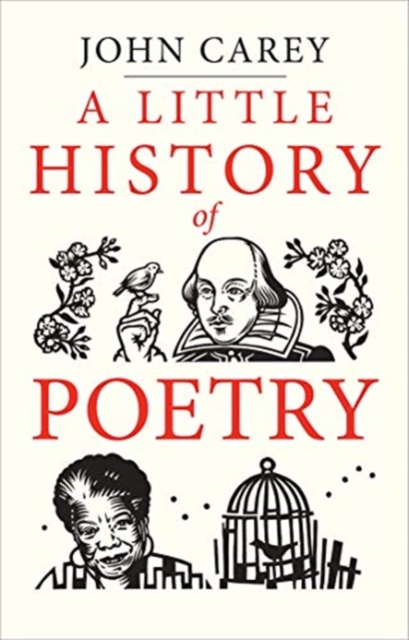 A Little History of Poetry, Hardback Book
