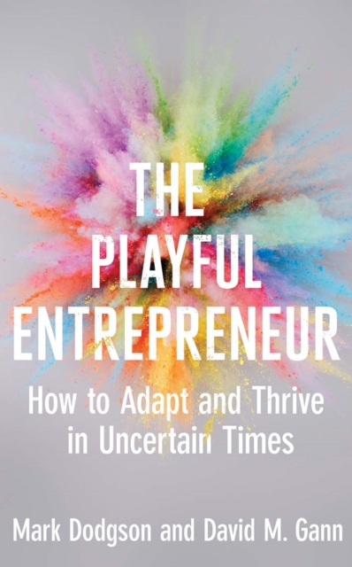 The Playful Entrepreneur : How to Adapt and Thrive in Uncertain Times, EPUB eBook