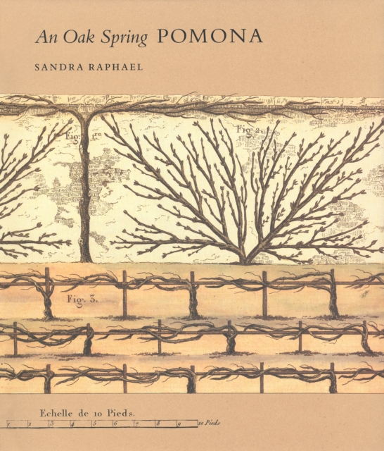 An Oak Spring Pomona : A Selection of the Rare Books on Fruit in the Oak Spring Garden Library, PDF eBook
