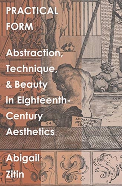 Practical Form : Abstraction, Technique, and Beauty in Eighteenth-Century Aesthetics, Hardback Book