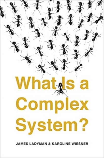 What Is a Complex System?, Paperback / softback Book