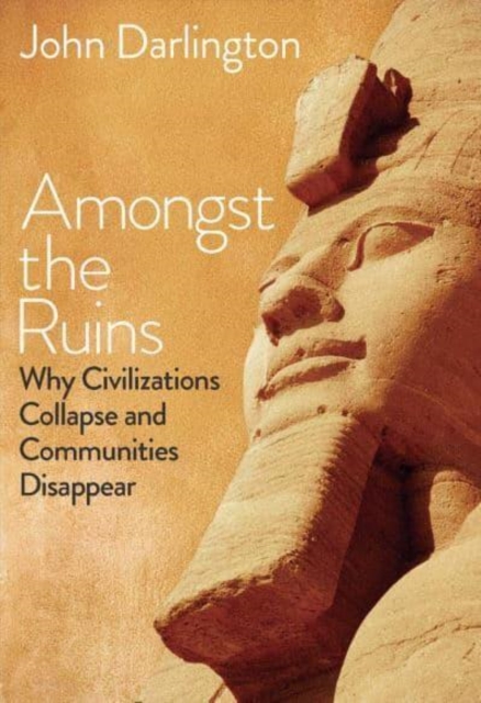 Amongst the Ruins : Why Civilizations Collapse and Communities Disappear, Hardback Book