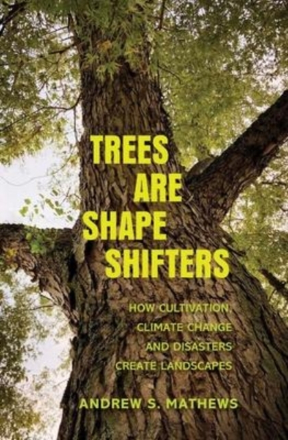 Trees Are Shape Shifters : How Cultivation, Climate Change, and Disaster Create Landscapes, Paperback / softback Book