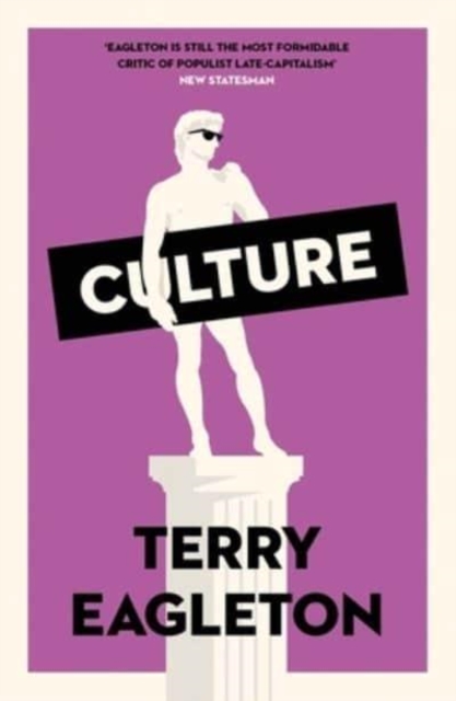 Culture, Paperback / softback Book