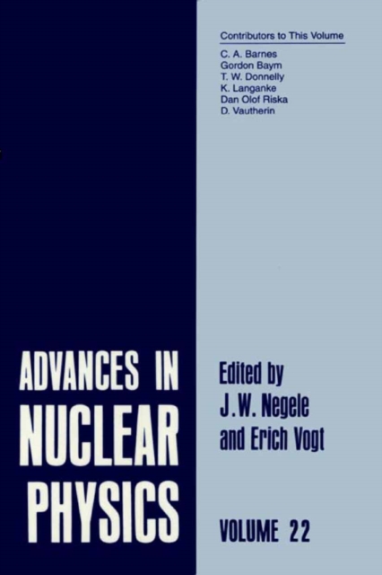 Advances in Nuclear Physics : Volume 22, PDF eBook