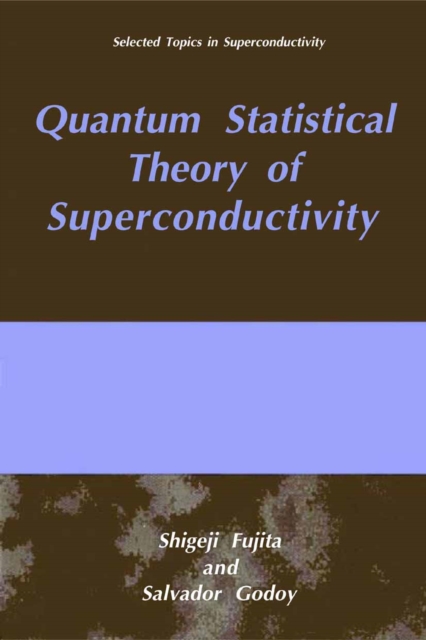 Quantum Statistical Theory of Superconductivity, PDF eBook