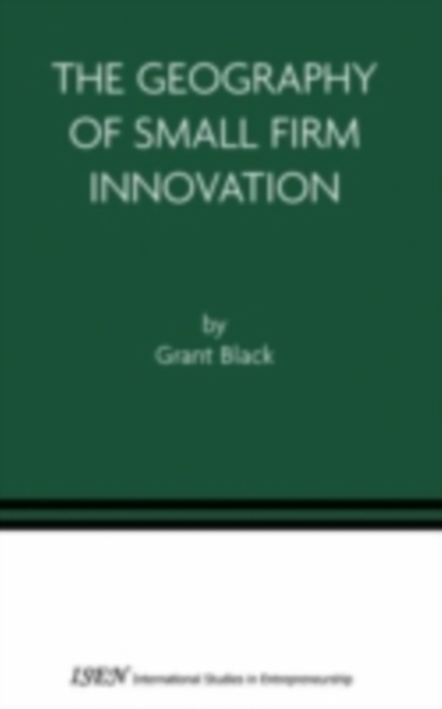 The Geography of Small Firm Innovation, PDF eBook