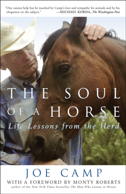 The Soul of a Horse : Life Lessons from the Herd, Paperback / softback Book