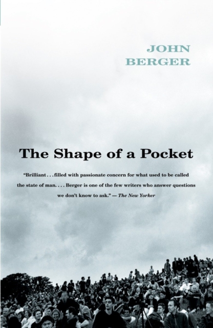 Shape of a Pocket, EPUB eBook
