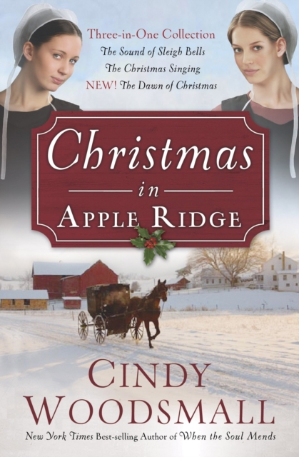 Christmas in Apple Ridge, EPUB eBook