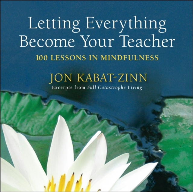 Letting Everything Become Your Teacher, EPUB eBook