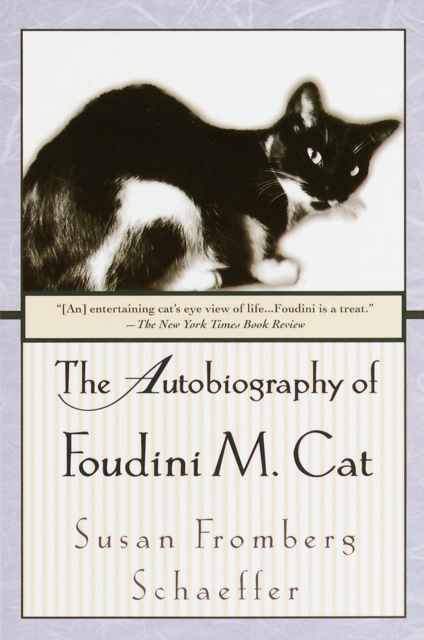 Autobiography of Foudini M. Cat, EPUB eBook