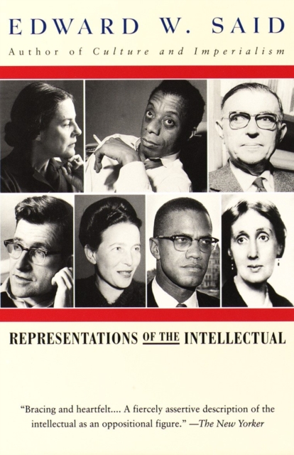 Representations of the Intellectual, EPUB eBook