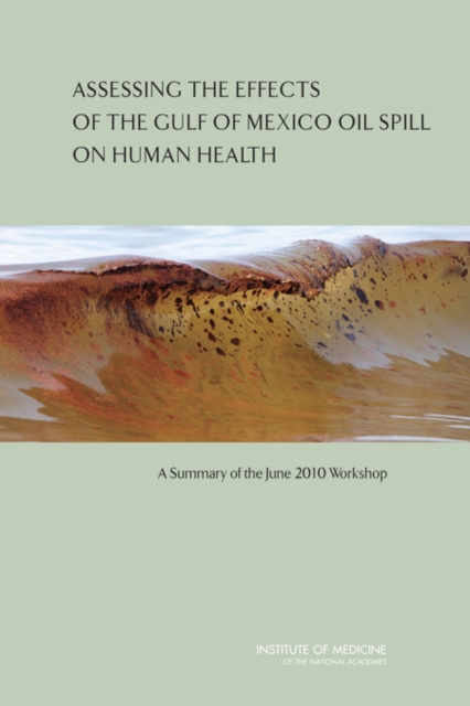 Assessing the Effects of the Gulf of Mexico Oil Spill on Human Health : A Summary of the June 2010 Workshop, PDF eBook