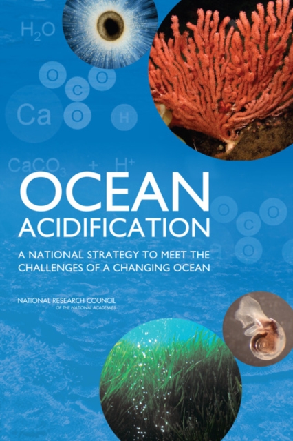 Ocean Acidification : A National Strategy to Meet the Challenges of a Changing Ocean, EPUB eBook