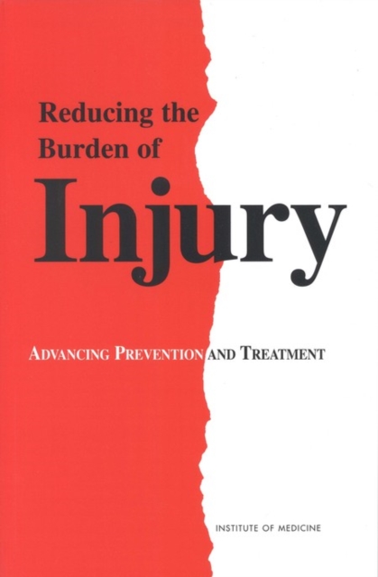 Reducing the Burden of Injury : Advancing Prevention and Treatment, EPUB eBook