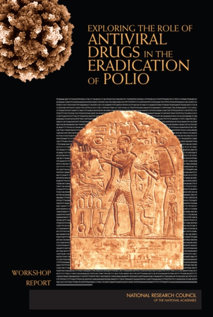 Exploring the Role of Antiviral Drugs in the Eradication of Polio : Workshop Report, EPUB eBook