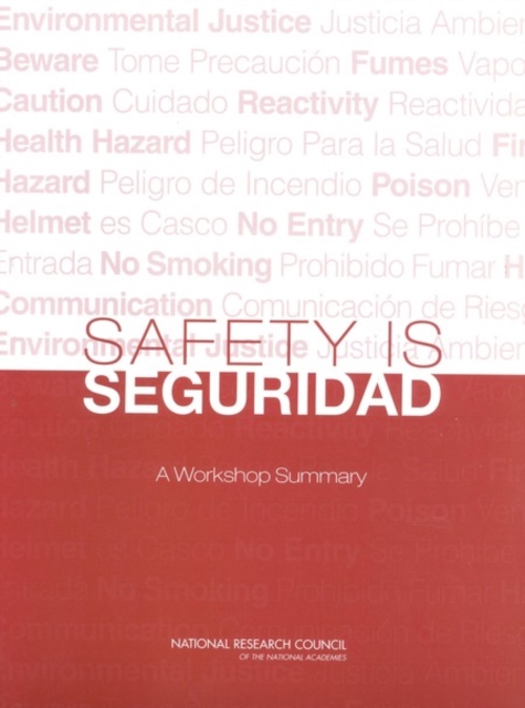 Safety is Seguridad : A Workshop Summary, EPUB eBook