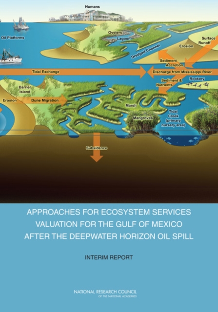 Approaches for Ecosystem Services Valuation for the Gulf of Mexico After the Deepwater Horizon Oil Spill : Interim Report, PDF eBook