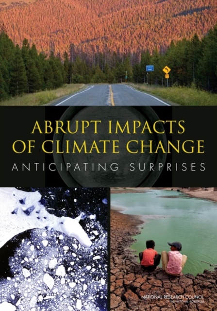 Abrupt Impacts of Climate Change : Anticipating Surprises, PDF eBook