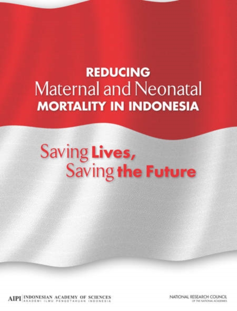 Reducing Maternal and Neonatal Mortality in Indonesia : Saving Lives, Saving the Future, EPUB eBook
