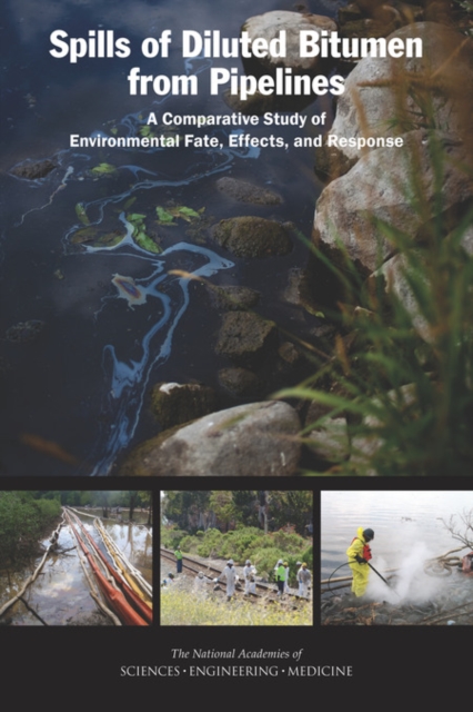 Spills of Diluted Bitumen from Pipelines : A Comparative Study of Environmental Fate, Effects, and Response, EPUB eBook
