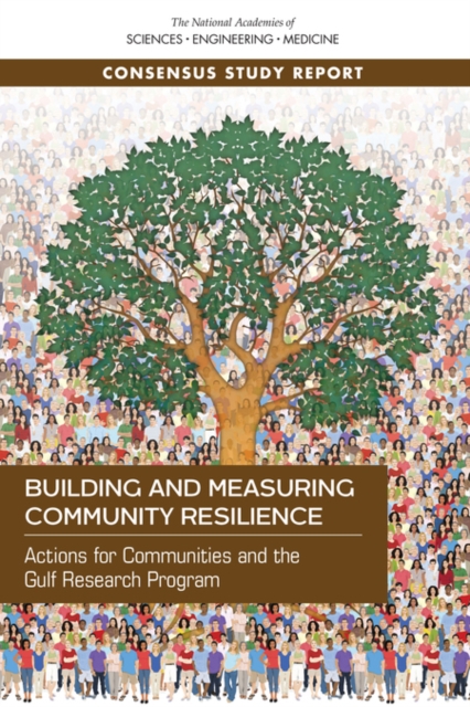 Building and Measuring Community Resilience : Actions for Communities and the Gulf Research Program, PDF eBook