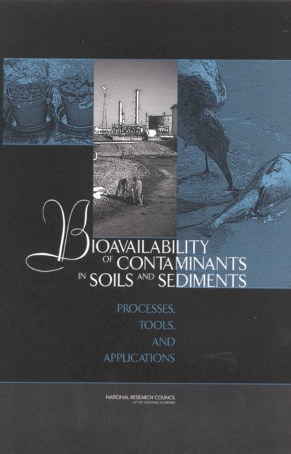 Bioavailability of Contaminants in Soils and Sediments : Processes, Tools, and Applications, PDF eBook