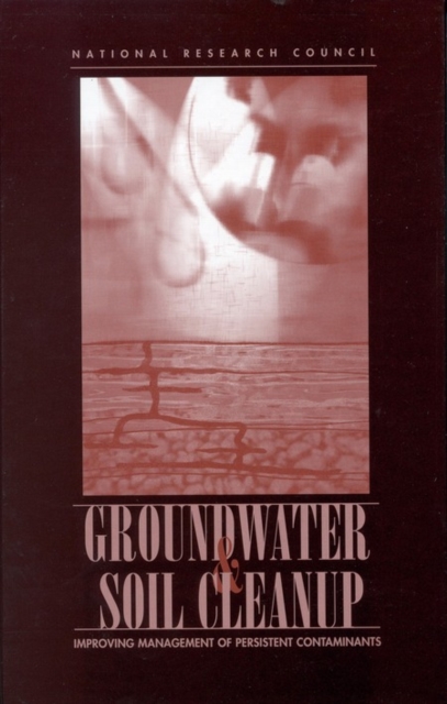 Groundwater and Soil Cleanup : Improving Management of Persistent Contaminants, PDF eBook