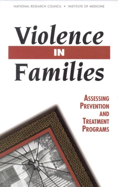 Violence in Families : Assessing Prevention and Treatment Programs, PDF eBook