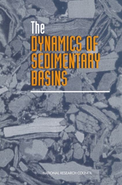 The Dynamics of Sedimentary Basins, PDF eBook