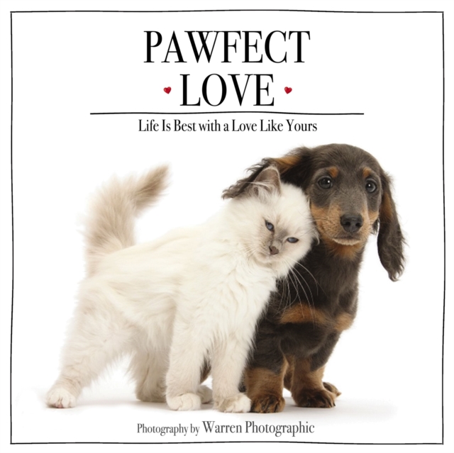 Pawfect Love : Life Is Best with a Love Like Yours, EPUB eBook