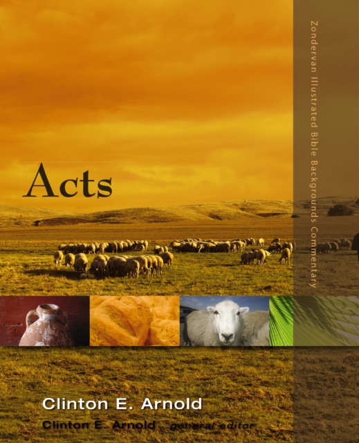 Acts : Volume 2B, EPUB eBook