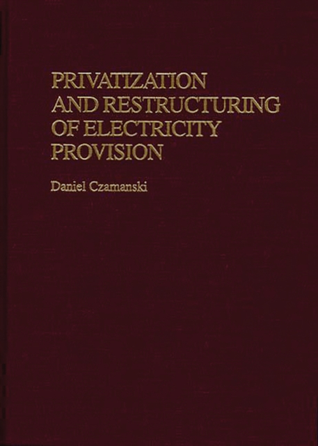 Privatization and Restructuring of Electricity Provision, PDF eBook