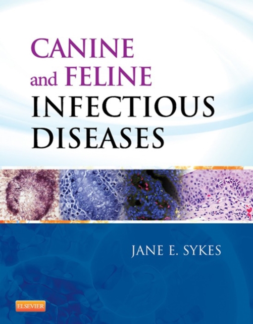 Canine and Feline Infectious Diseases, EPUB eBook