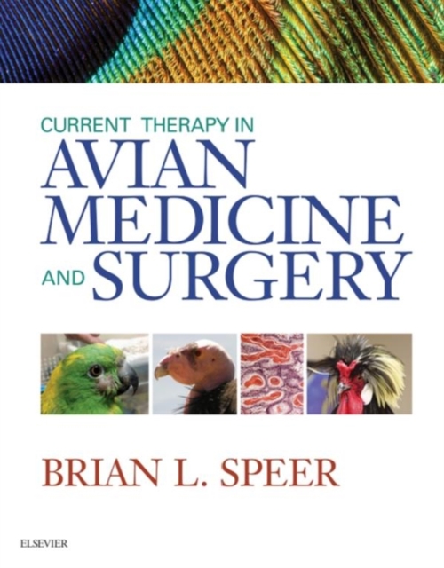 Current Therapy in Avian Medicine and Surgery - E-Book, EPUB eBook