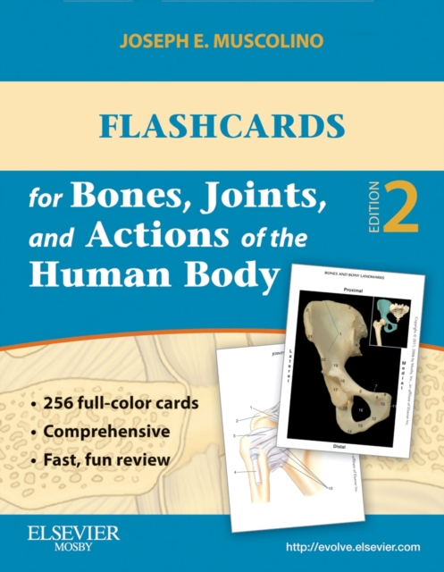 Flashcards for Bones, Joints, and Actions of the Human Body - E-Book, PDF eBook