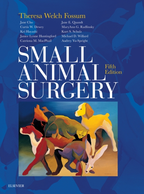 Small Animal Surgery E-Book : Small Animal Surgery E-Book, EPUB eBook