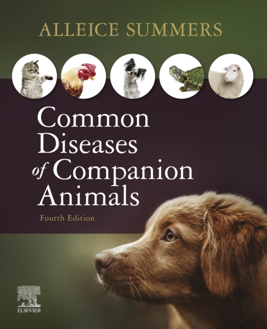 Common Diseases of Companion Animals E-Book : Common Diseases of Companion Animals E-Book, EPUB eBook
