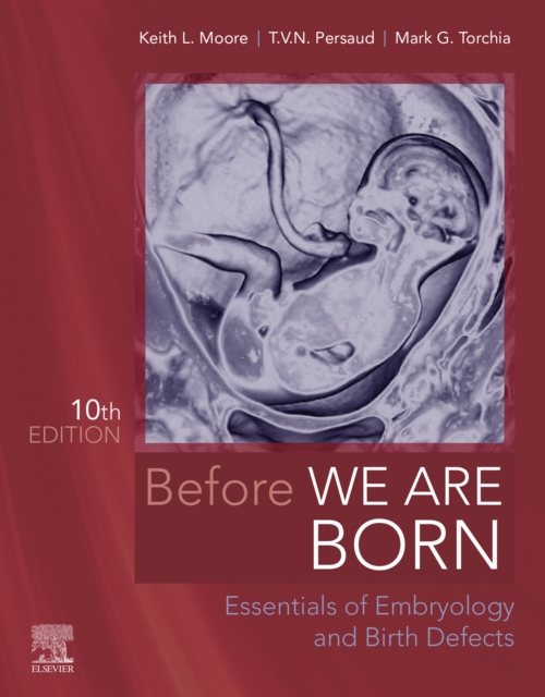 Before We Are Born - E-Book : Before We Are Born - E-Book, EPUB eBook