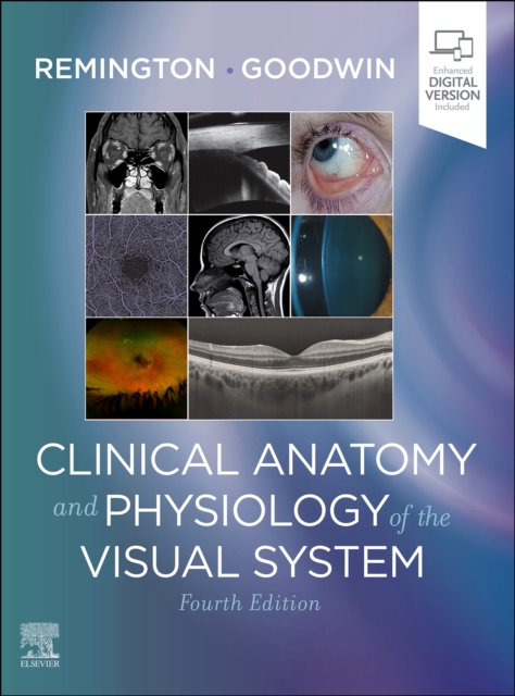 Clinical Anatomy and Physiology of the Visual System E-Book : Clinical Anatomy and Physiology of the Visual System E-Book, EPUB eBook