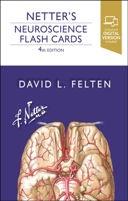 Netter's Neuroscience Flash Cards, Cards Book