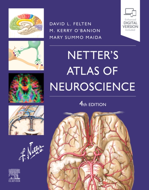Netter's Atlas of Neuroscience, Paperback / softback Book