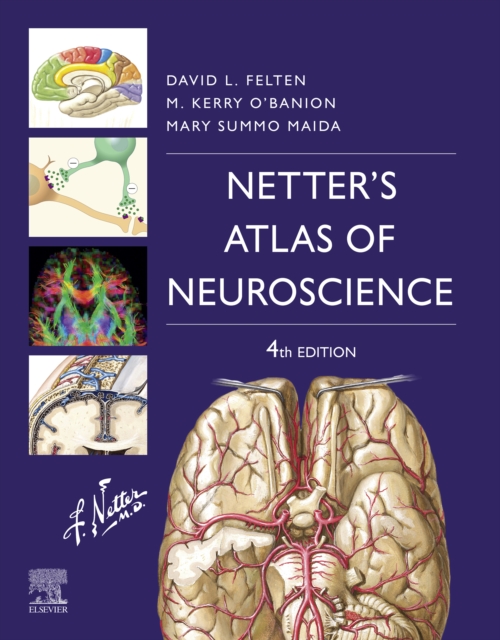 Netter's Atlas of Neuroscience E-Book, EPUB eBook